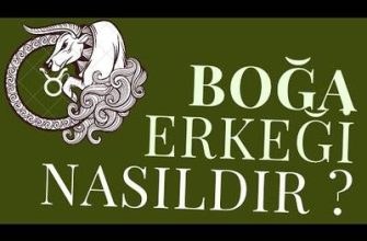 Koç-Boğa burcu erkeğinin özellikleri