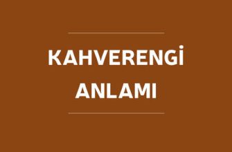 Kahverengi renk psikolojide ne anlama gelir??