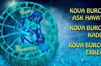 Kova-Yılan erkeği: aşktaki özellikler ve uyumluluk