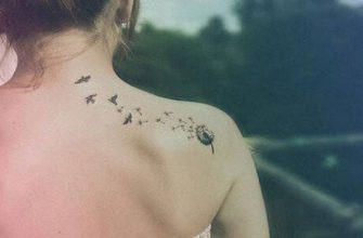 Kızlar için dövme «Phoenix» hakkında her şey