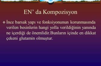 Kaşmir: kompozisyon, açıklama, artılar ve eksiler