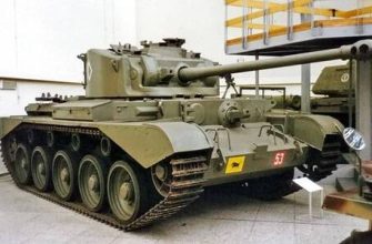 Bir Tiger-Waterloo kadınının kişiliğinin özellikleri