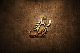 Horoz yılında doğan Akrep burcu erkeği: uyumluluk ve özellikler