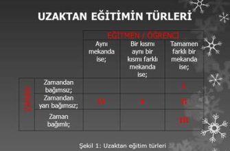 Eğitmen türleri