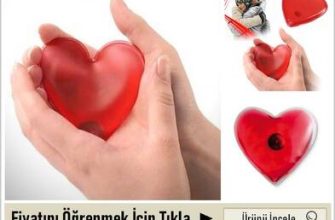 Koç-Sıçan erkeğinin özellikleri