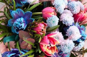 Boğa burcu kadını için çiçek seçimi