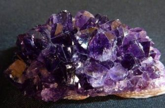 Kaplan Yılında doğan Yengeç kadını: özellikleri ve uyumluluğu