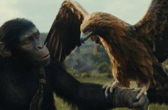 Arkadaşlık, iş ve aşkta Keçi ve Maymun uyumluluğu