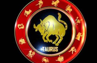 Köpek yılında doğan Boğa burcunun karakteri