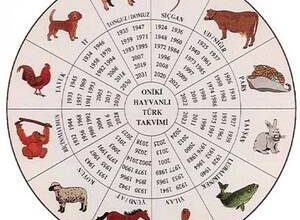 Flamingolu dövmelerin anlamı ve neye benzedikleri?