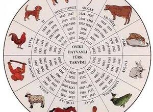 Tavşan yılında doğan bir kadın Akrep'in özellikleri