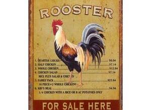 Horoz erkekleri: karakteristik, iş ve özel hayattaki başarılar