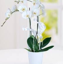 Balo salonu dansı için kızlar için saç modelleri