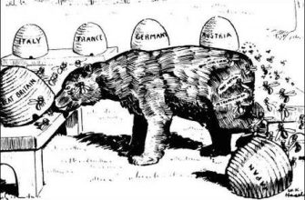 2005 - hangi hayvanın ve neyle karakterize edildiğinin yılı?