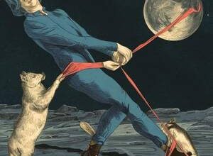 Spandex: özellikleri, karakteristikleri, seçim ve bakım ipuçları