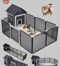 At ve Tavşan (Kedi) Uyumluluğu