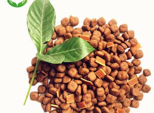 Chappi köpek maması incelemesi