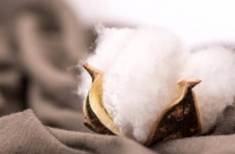 Pamuk nedir ve bu kumaşın bakımı nasıl yapılır??