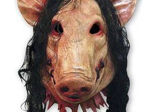 Domuz yılında doğan bir İkizler erkeğinin özellikleri