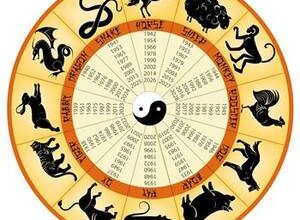 Maymun yılında doğan Akrep burcu kadını: özellikleri ve uyumluluğu