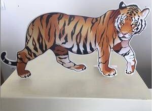 Kaplan yılında doğan kadınların özellikleri