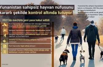 2021 - hangi hayvanın yılı ve neyle karakterize edildiği?