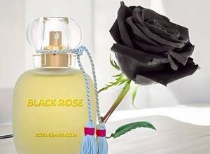 Parfümeride Ambergris