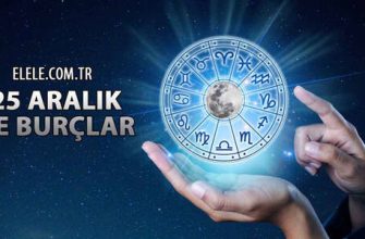 At Yılında Doğan Aslan Erkeğinin Özellikleri