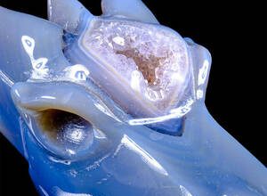 Ejderha-Boğa burcu erkeği: karakter ve ilişkiler