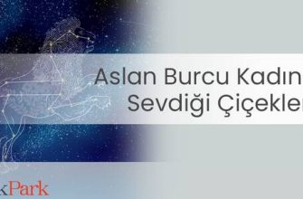 Fare yılında doğan bir Aslan kadınının özellikleri