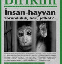 Maymun yılında doğan bir Yay erkeğinin kişilik özellikleri ve uyumluluğu