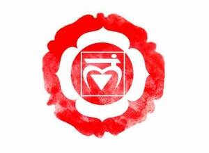 Köpek koşum takımları: ne oldukları ve nasıl seçilecekleri?