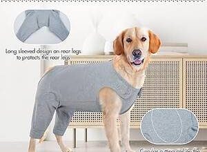 Kadın Köpek: karakteristik ve uyumluluk