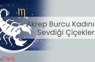 Sıçan yılında doğan kadın Akrep: özellikleri ve uyumluluğu